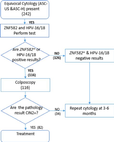 Pap Smear Interpretation and Management of Abnormals.